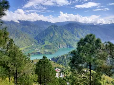 The 8 Limbs of Yoga Explained